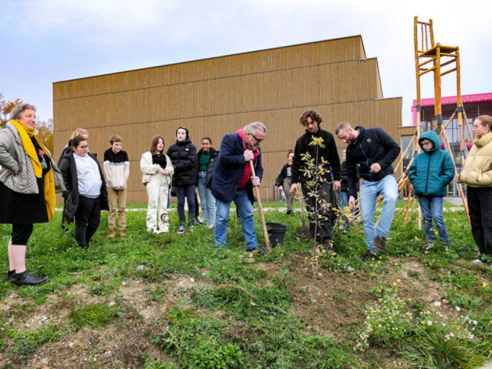 Plantation du chêne au Pôle | Sipalby