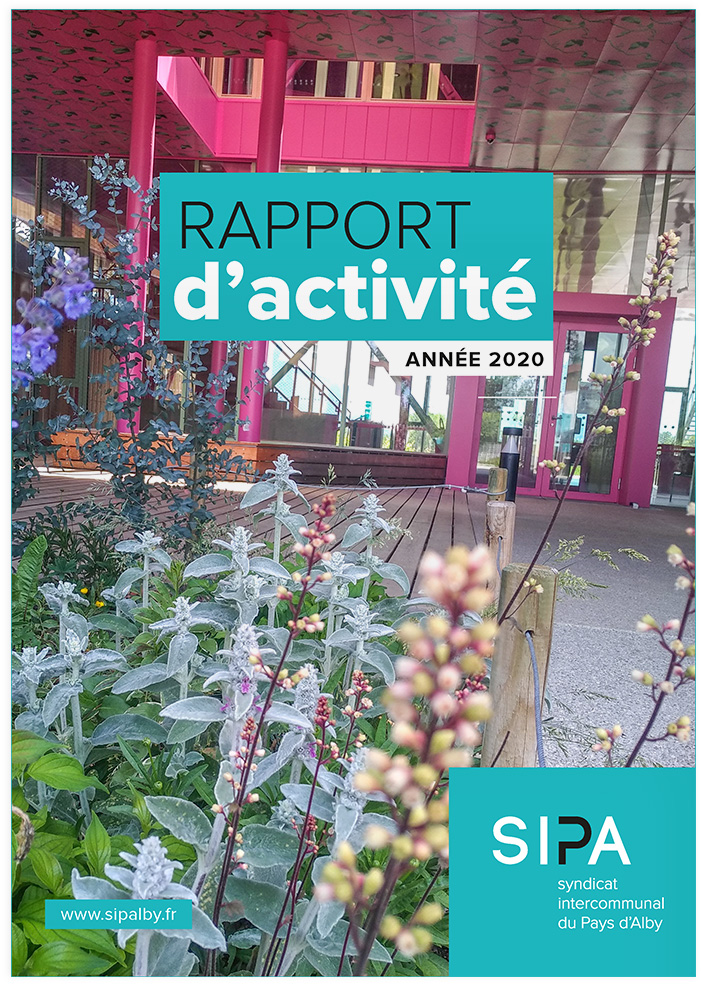 rapport activité 2020